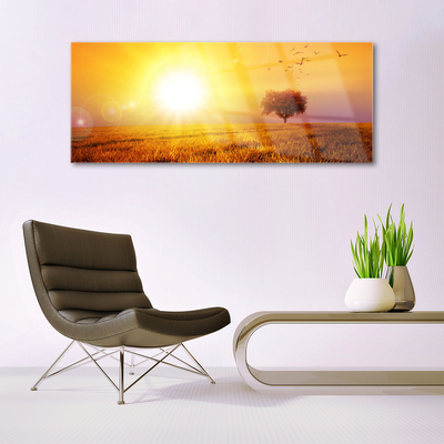 Print op plexiglas Sunset weidevogels