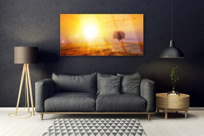 Print op plexiglas Sunset weidevogels