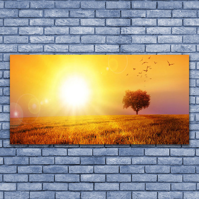 Print op plexiglas Sunset weidevogels