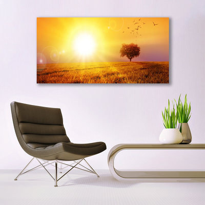 Print op plexiglas Sunset weidevogels