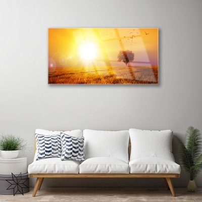 Print op plexiglas Sunset weidevogels