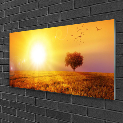 Print op plexiglas Sunset weidevogels