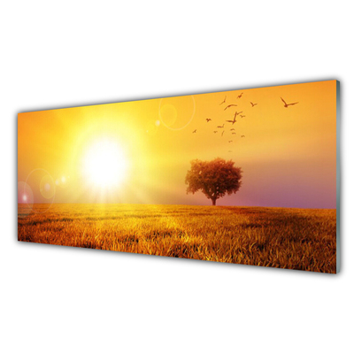 Print op plexiglas Sunset weidevogels