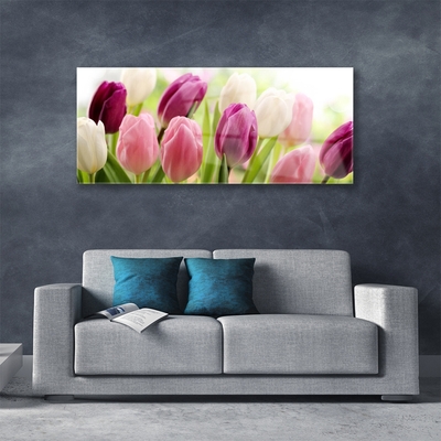 Print op plexiglas Tulpen bloemen nature meadow