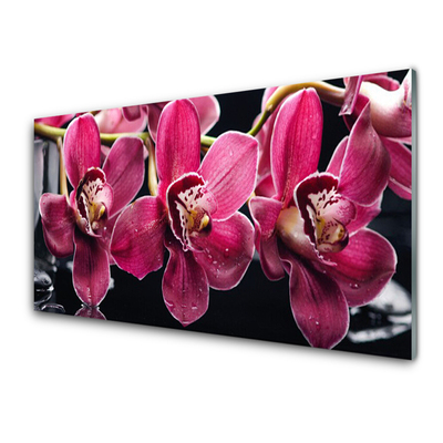 Print op plexiglas Orchideebloemen nature shoots