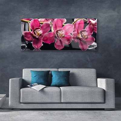 Print op plexiglas Orchideebloemen nature shoots