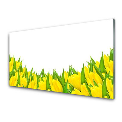 Print op plexiglas Tulpen bloemen nature