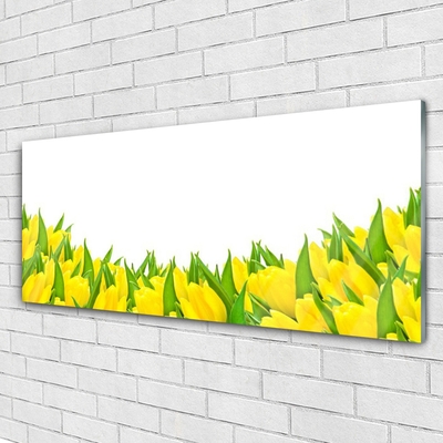 Print op plexiglas Tulpen bloemen nature
