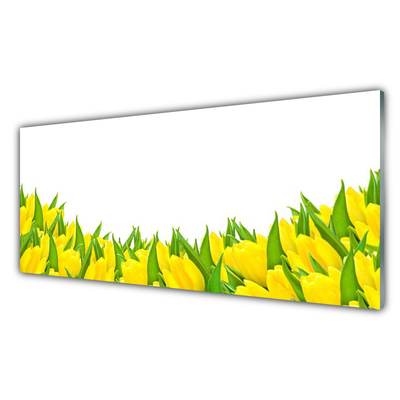 Print op plexiglas Tulpen bloemen nature