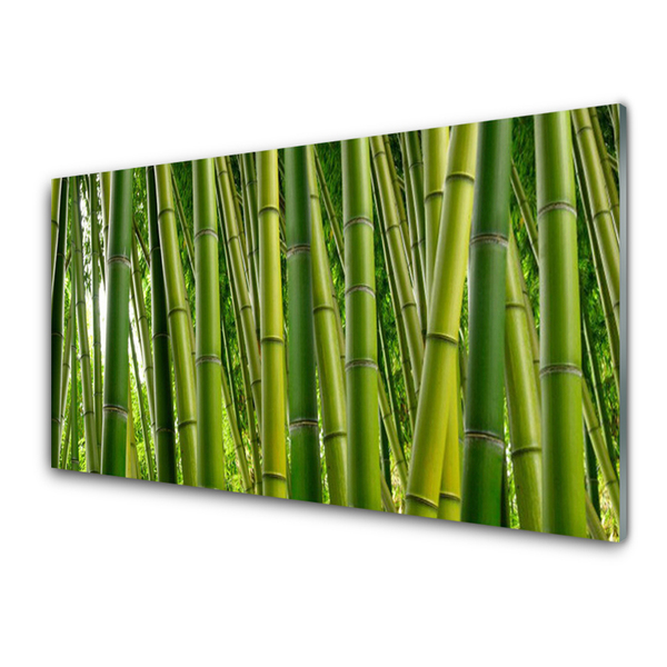 Print op plexiglas Bamboo shoots bamboo forest