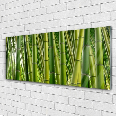 Print op plexiglas Bamboo shoots bamboo forest