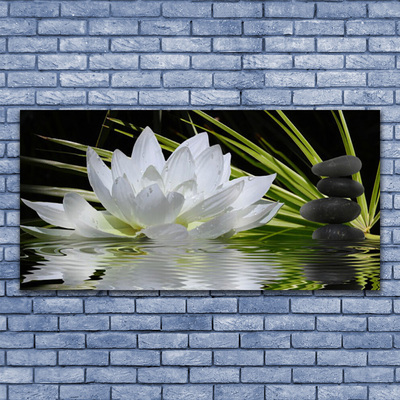 Print op plexiglas Water lily bloemen