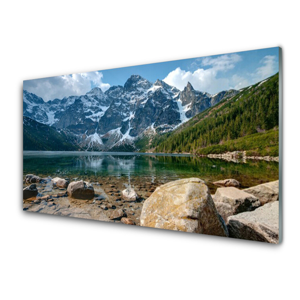 Print op plexiglas Tatragebergte forest lake