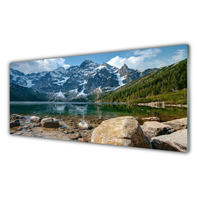 Print op plexiglas Tatragebergte forest lake