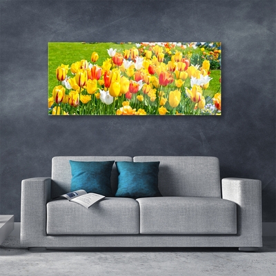 Print op plexiglas Tulpen bloemen nature