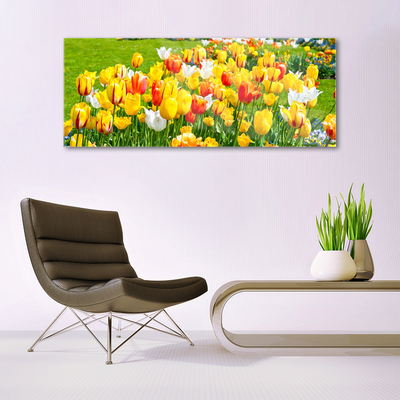 Print op plexiglas Tulpen bloemen nature