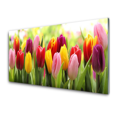 Print op plexiglas Tulpen bloemen nature