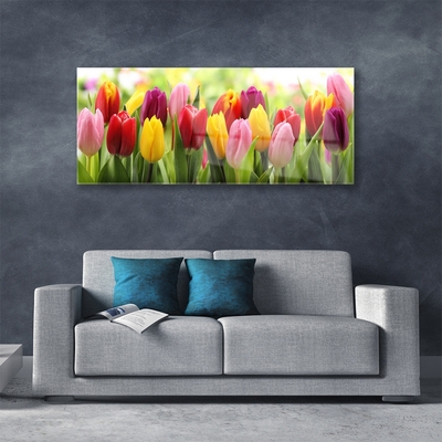 Print op plexiglas Tulpen bloemen nature