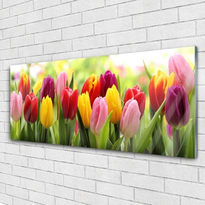 Print op plexiglas Tulpen bloemen nature