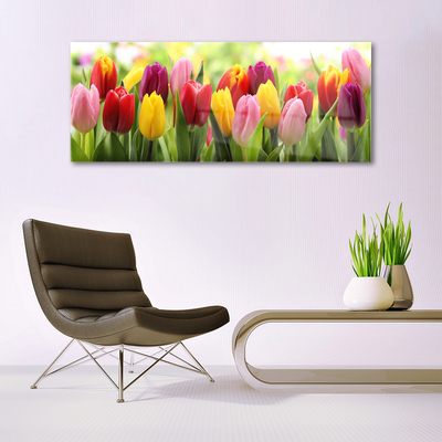 Print op plexiglas Tulpen bloemen nature