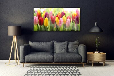 Print op plexiglas Tulpen bloemen nature