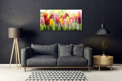 Print op plexiglas Tulpen bloemen nature