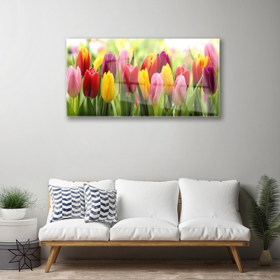 Print op plexiglas Tulpen bloemen nature