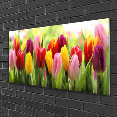 Print op plexiglas Tulpen bloemen nature