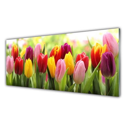 Print op plexiglas Tulpen bloemen nature