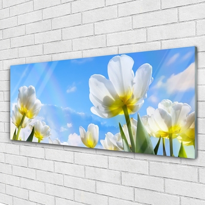 Print op plexiglas Planten bloemen tulips