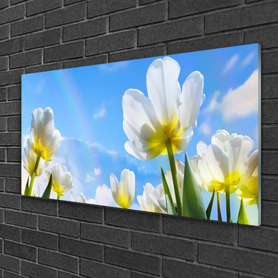 Print op plexiglas Planten bloemen tulips