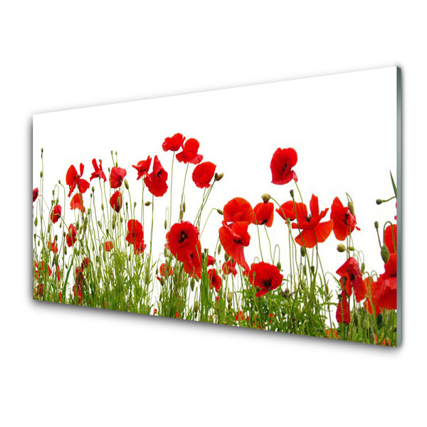 Print op plexiglas Klaprozen bloemen nature plant