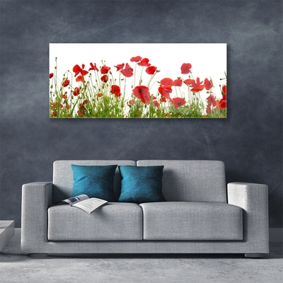 Print op plexiglas Klaprozen bloemen nature plant