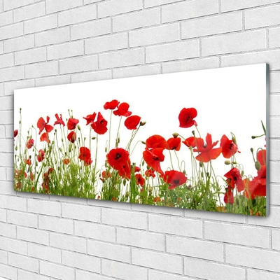 Print op plexiglas Klaprozen bloemen nature plant