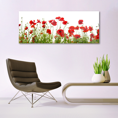 Print op plexiglas Klaprozen bloemen nature plant