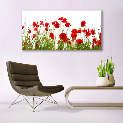 Print op plexiglas Klaprozen bloemen nature plant