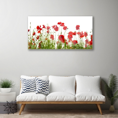 Print op plexiglas Klaprozen bloemen nature plant