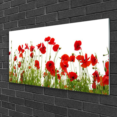 Print op plexiglas Klaprozen bloemen nature plant