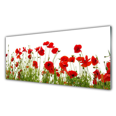 Print op plexiglas Klaprozen bloemen nature plant