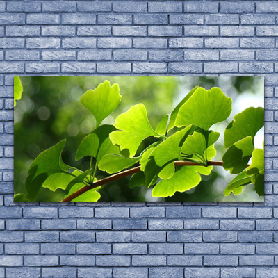 Print op plexiglas Leaves nature boomtakken