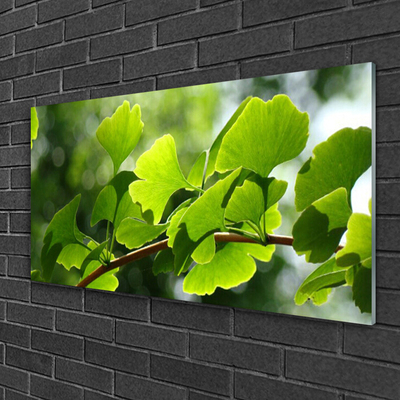 Print op plexiglas Leaves nature boomtakken