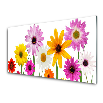 Print op plexiglas Gekleurde bloemen nature