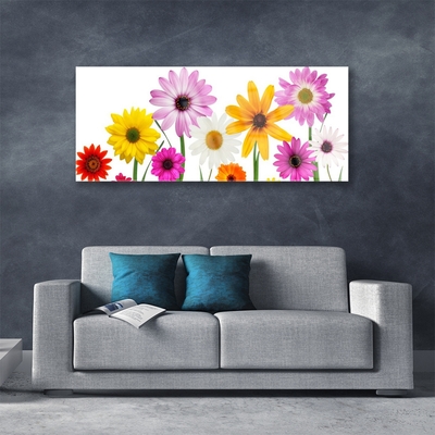 Print op plexiglas Gekleurde bloemen nature