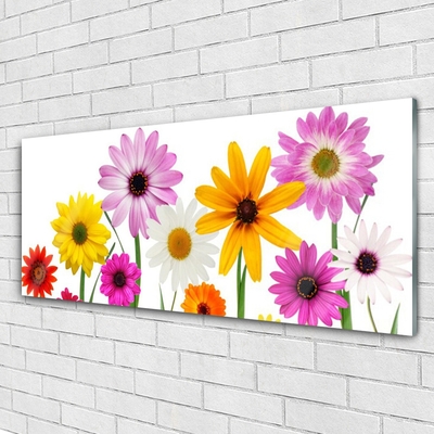 Print op plexiglas Gekleurde bloemen nature