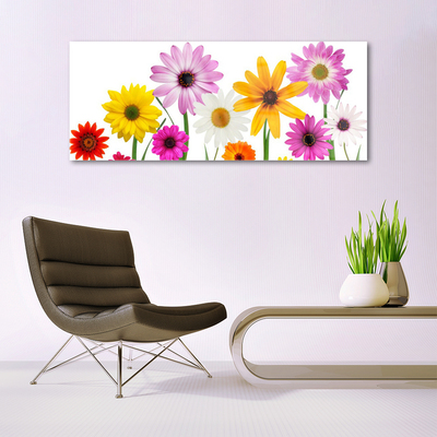 Print op plexiglas Gekleurde bloemen nature