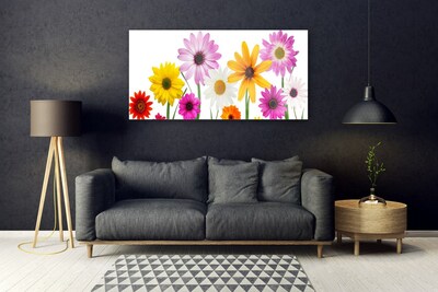 Print op plexiglas Gekleurde bloemen nature