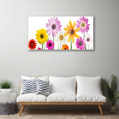 Print op plexiglas Gekleurde bloemen nature