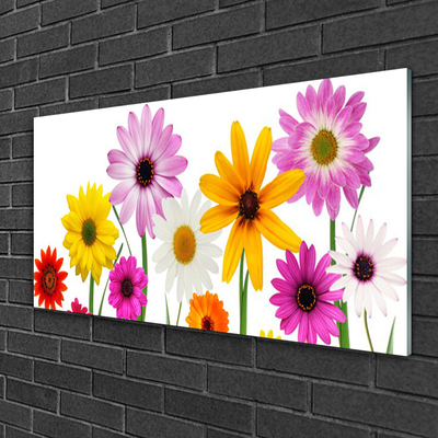 Print op plexiglas Gekleurde bloemen nature