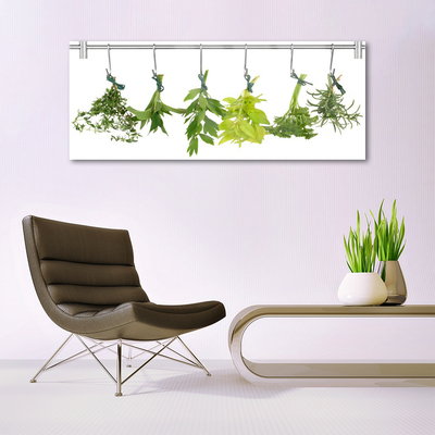 Print op plexiglas Leaves nature herbs
