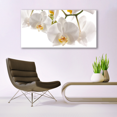 Print op plexiglas Orchideebloemen nature